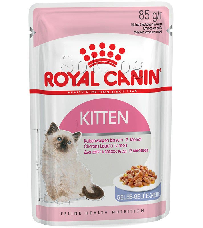 Royal Canin Kitten Jelly 12*85g - kölyök macska zselés, nedves táp